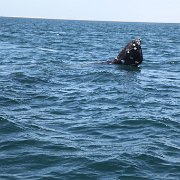 IMG 0001 2 (269)